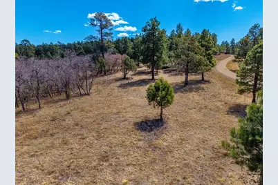 34999 Timber Park Dr, Trinidad, CO 81082 - Photo 16