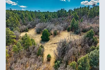 34999 Timber Park Dr, Trinidad, CO 81082 - Photo 18
