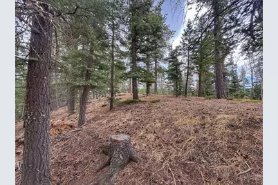 132 Aspen Acres, Rye, CO 81252 - Photo 14