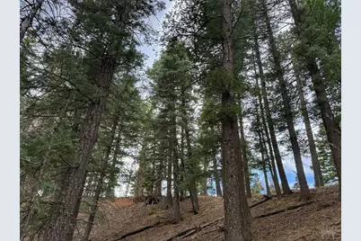 132 Aspen Acres, Rye, CO 81252 - Photo 6