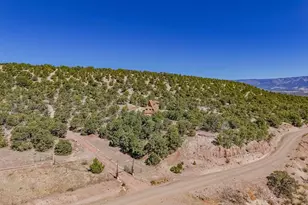 Lot 204 Colorado Land and Grazing, Gardner, CO 81040 - Photo 80