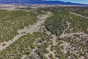 Lot 204 Colorado Land and Grazing, Gardner, CO 81040 - Photo 74