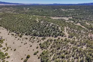 Lot 204 Colorado Land and Grazing, Gardner, CO 81040 - Photo 76