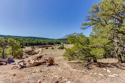 Lot 204 Colorado Land and Grazing #CC, Gardner, CO 81040 - Photo 86