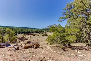 Lot 204 Colorado Land and Grazing, Gardner, CO 81040 - Photo 86