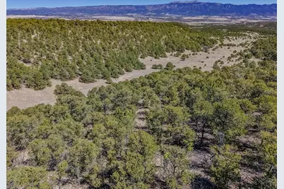 Lot 204 Colorado Land and Grazing #CC, Gardner, CO 81040 - Photo 72