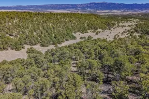 Lot 204 Colorado Land and Grazing, Gardner, CO 81040 - Photo 72