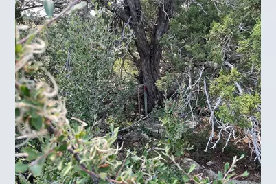 Tbd Gilpin St, Colorado City, CO 81019 - Photo 16