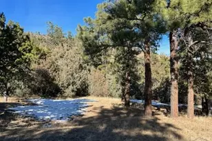 6433 Canyon Ln, Beulah, CO 81023 - Photo 18