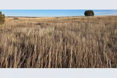 Tbd Morgan Place, Colorado City, CO 81019 - Photo 4