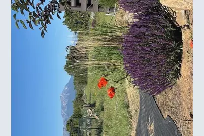 619 Black Diamond Dr, Walsenburg, CO 81089 - Photo 38