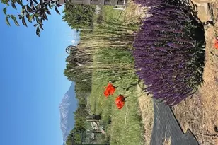 619 Black Diamond Dr, Walsenburg, CO 81089 - Photo 38