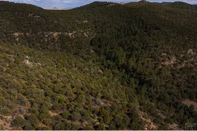 84 North Mountain, Walsenburg, CO 81089 - Photo 8