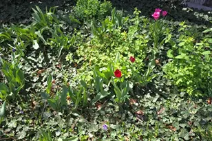 178 Mac Neil Pl, Pueblo, CO 81001 - Photo 40