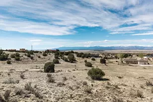 966 S Linden Pl, Pueblo West, CO 81007 - Photo 12