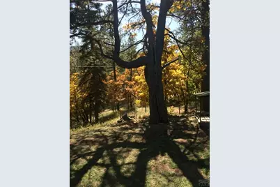 6174 Pennsylvania Ave, Beulah, CO 81023 - Photo 42