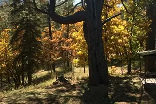 6174 Pennsylvania Ave, Beulah, CO 81023 - Photo 42