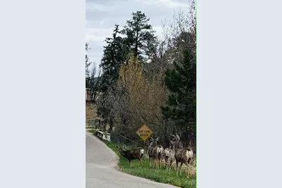 6174 Pennsylvania Ave, Beulah, CO 81023 - Photo 54