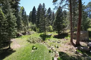 10421 Linger Longer Ln, Rye, CO 81069 - Photo 24