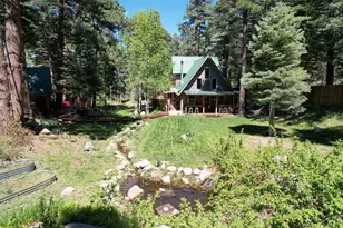 10421 Linger Longer Ln, Rye, CO 81069 - Photo 2