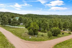 8716 National Forest Dr, Beulah, CO 81023 - Photo 50