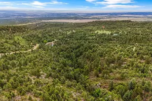 8716 National Forest Dr, Beulah, CO 81023 - Photo 56