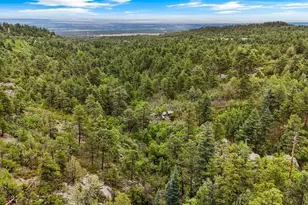 8716 National Forest Dr, Beulah, CO 81023 - Photo 60