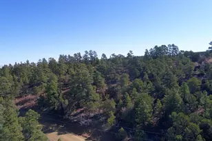 25110 N Ridgeline Dr, Trinidad, CO 81082 - Photo 56
