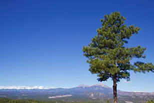 25110 N Ridgeline Dr, Trinidad, CO 81082 - Photo 72