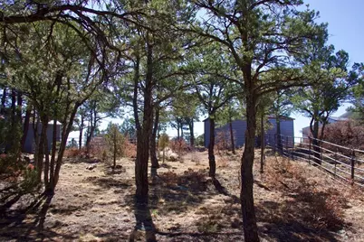 25110 N Ridgeline Dr, Trinidad, CO 81082 - Photo 38