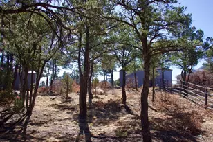 25110 N Ridgeline Dr, Trinidad, CO 81082 - Photo 38