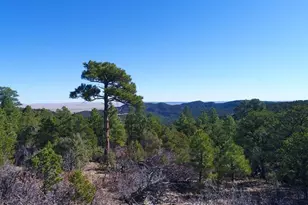 25110 N Ridgeline Dr, Trinidad, CO 81082 - Photo 62