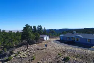25110 N Ridgeline Dr, Trinidad, CO 81082 - Photo 62