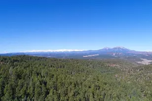 25110 N Ridgeline Dr, Trinidad, CO 81082 - Photo 54