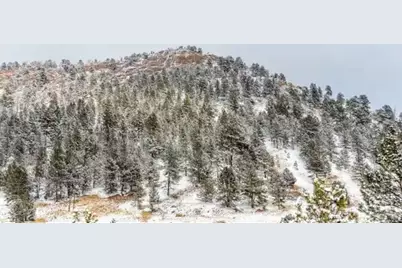 145 S Deer Mountain Trail, Florissant, CO 80816 - Photo 26