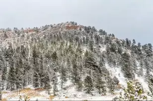 145 S Deer Mountain Trail, Florissant, CO 80816 - Photo 26