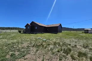 145 S Deer Mountain Trail, Florissant, CO 80816 - Photo 30