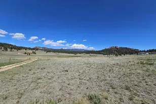 145 S Deer Mountain Trail, Florissant, CO 80816 - Photo 28