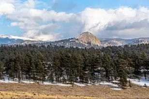 145 S Deer Mountain Trail, Florissant, CO 80816 - Photo 26