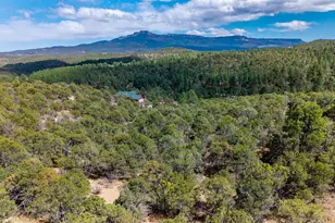 32790 Old Sopris Rd, Trinidad, CO 81082 - Photo 44