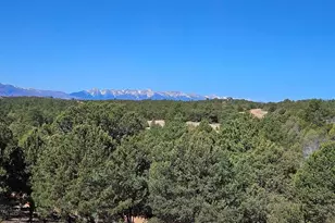 1900 Arnold Dr, Cotopaxi, CO 81223 - Photo 46