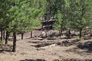 1900 Arnold Dr, Cotopaxi, CO 81223 - Photo 48