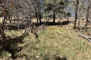9087 S Pine Dr, Beulah, CO 81023 - Photo 2