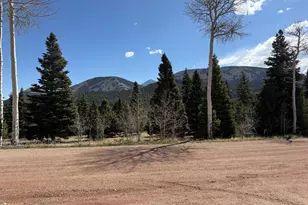44 Valley Vista Rd, Cuchara, CO 81055 - Photo 2