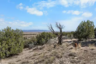 965 Newton Rd, Pueblo, CO 81005 - Photo 42