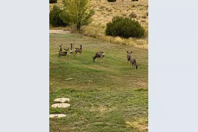 415 Riata Dr, Trinidad, CO 81082 - Photo 58