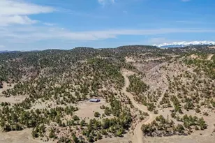 11751 County Rd 31 9, Weston, CO 81091 - Photo 48