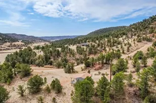 11751 County Rd 31 9, Weston, CO 81091 - Photo 40