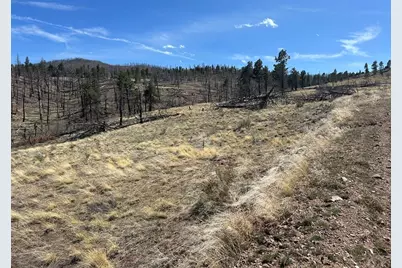 Lot 184 Forbes Pk, Fort Garland, CO 81133 - Photo 4