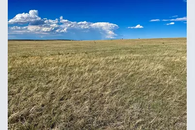 5897 Amanda Lane, Rye, CO 81069 - Photo 14